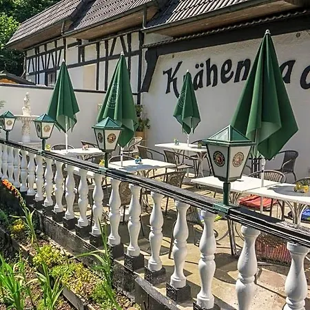 호텔 Kraehenbad 3*