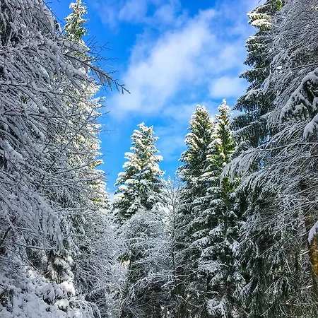 Kraehenbad Alpirsbach