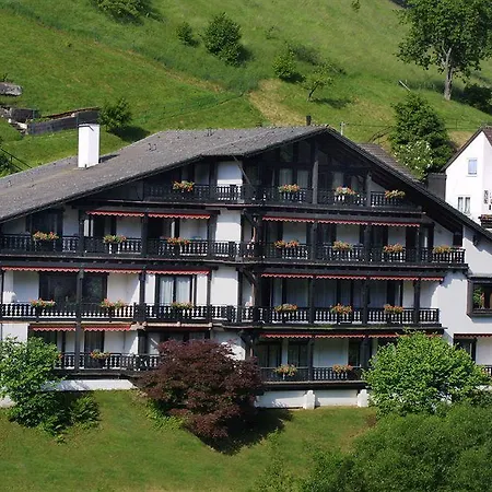 فندق Kraehenbad