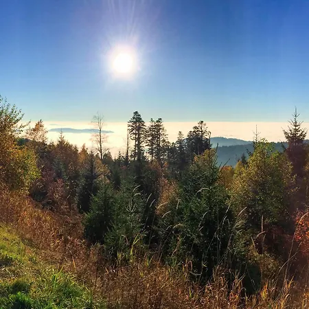 Kraehenbad Schenkenzell