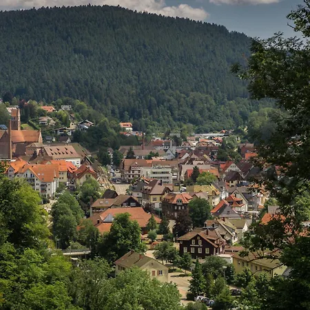 Kraehenbad 3* Schenkenzell