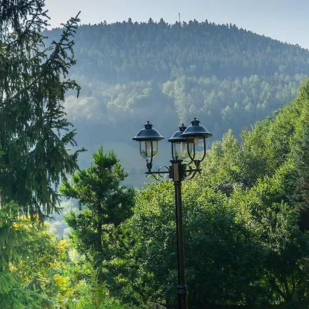 Szálloda Kraehenbad 3*