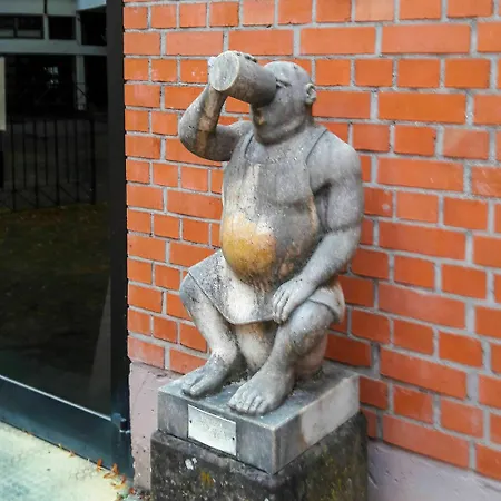 Hotell Kraehenbad 3*