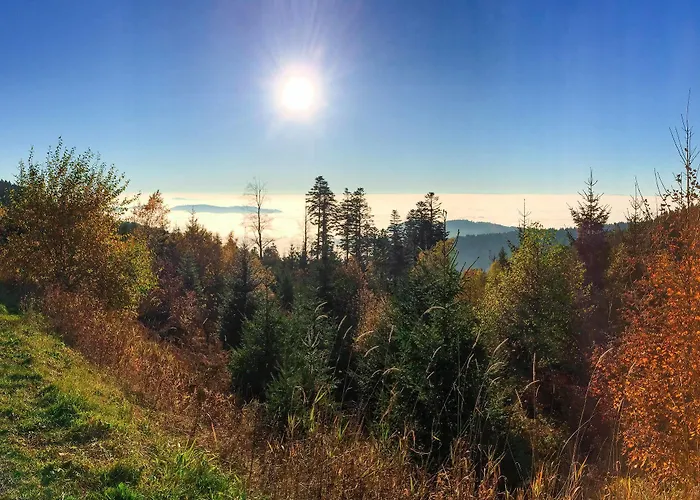 Kraehenbad Schenkenzell